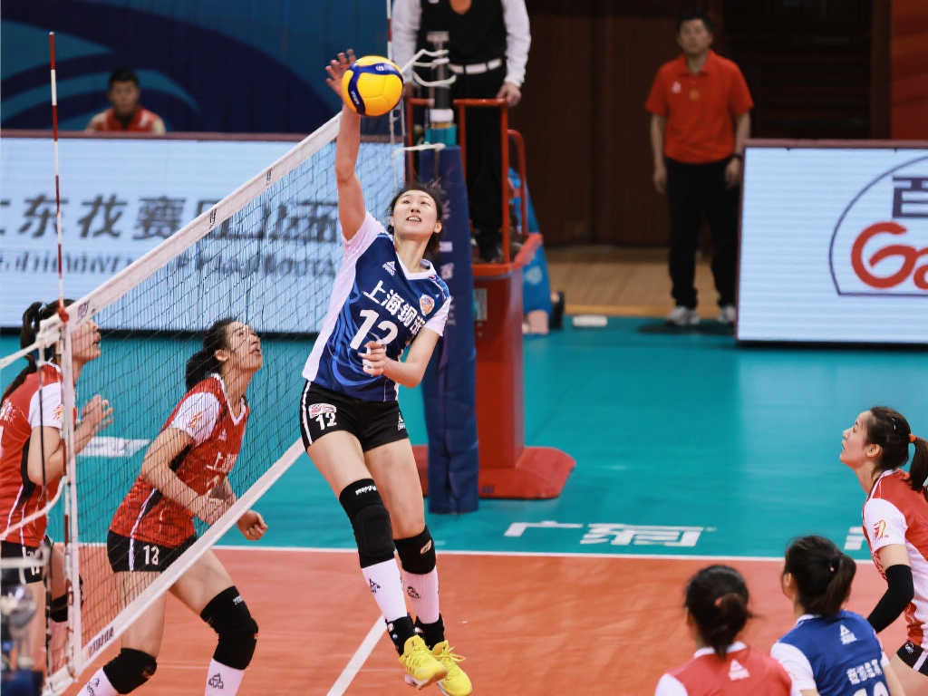 正是这种无 正是这种无